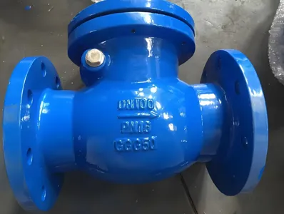 Duktilt jern svingkontraventil PN10